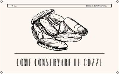 Come conservare le cozze