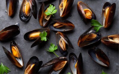 Zuppa di cozze partenopea: la ricetta di Ittica Buonocore