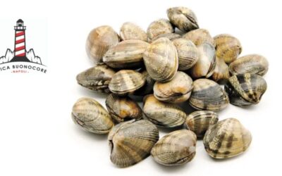 Come conservare le vongole: segui i consigli di Ittica Buonocore