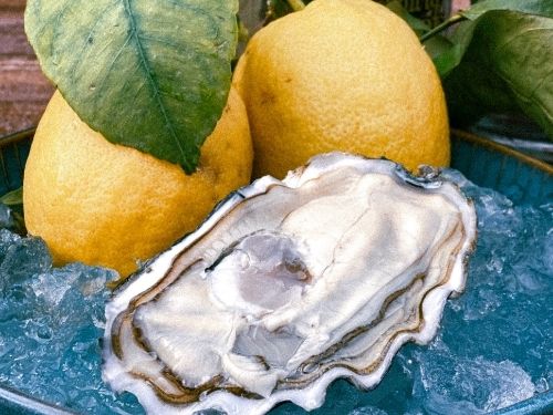 Scopri gli ingredienti per preparare il cocktail CitrusExperience! Ostrica e limoni in ghiaccio