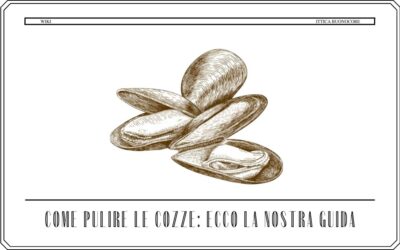 Come pulire le cozze: ecco la nostra guida