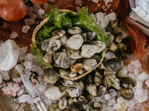 All'apparenza molto simili tra loro, telline e vongole si distinguono per alcune caratteristiche: scopri quali! Vongole con foglia d'insalata e ghiaccio