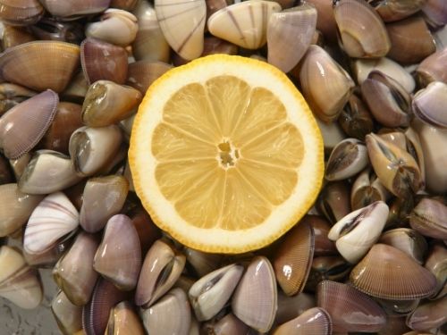 Cucina con noi la gustosa ricetta che vede protagoniste scialatielli, telline e limone! Telline con limone