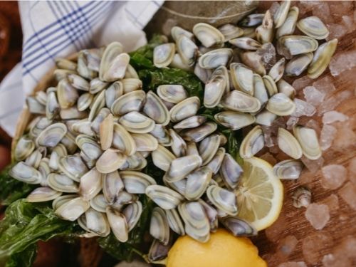 Spurgare le telline è fondamentale per gustarle al meglio: scopri come e perché farlo! Telline con ghiaccio e limone