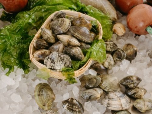 Molluschi dal sapore deciso, dolce e intenso: scopri le caratteristiche e la provenienza delle vongole veraci! Vongole veraci in cesto con ghiaccio e insalata
