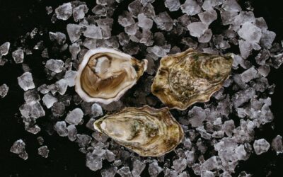 La freschezza del mare sempre a portata di mano: ecco come conservare le ostriche