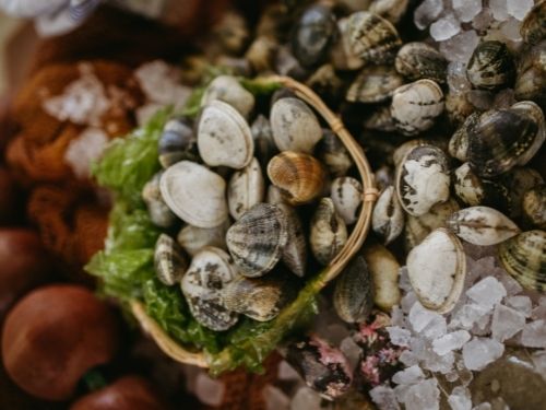 Le vongole sono gustosi molluschi dalle carni prelibate: scopri tutto su di loro! Vongole in cesta