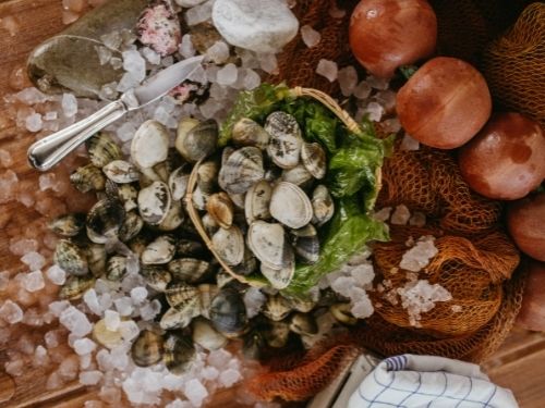 Ricreare un habitat familiare e che le rilassi è una condizione necessaria per far spurgare le vongole: scopri come fare! Vongole in cesta con ghiaccio