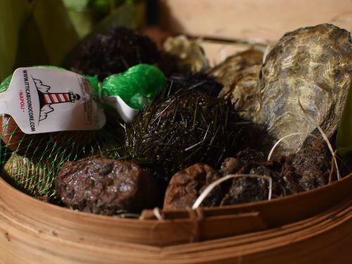 Scopri quali sono tutti gli ingredienti per preparare il cocktail Sea Thorn! riccio di mare ittica buonocore