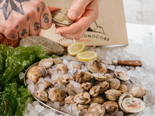 Aprire i tartufi di mare non è sempre un'impresa semplice: scopri come farlo! Apertura tartufi di mare