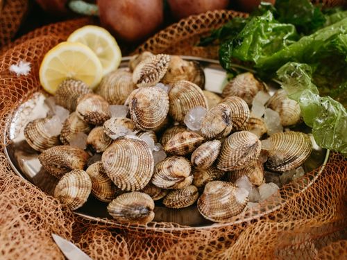 Colorazione, caratteristiche, gusto: scopri tutto quello che c'è da sapere sui tartufi di mare! Tartufi di mare in cesta con limone e ghiaccio