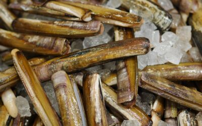 Come pulire i cannolicchi: segui i nostri consigli