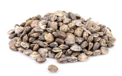 Come spurgare i Lupini? Leggi i nostri consigli