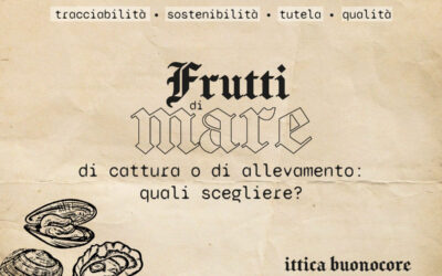 Frutti di mare di cattura o di allevamento: quali scegliere?