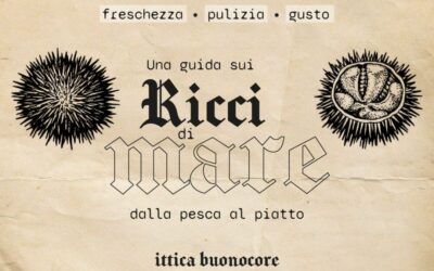 Quali sono le parti commestibili dei ricci?