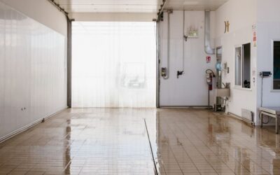 Depurazione molluschi: come avviene e perché è così importante