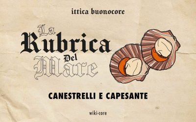 Canestrelli e capesante: le differenze