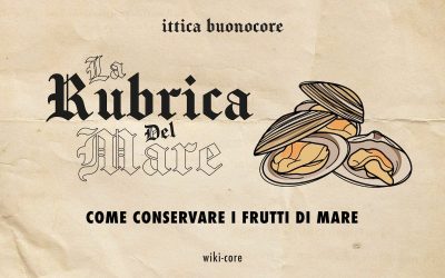 Si possono conservare i frutti di mare nell’acqua di mare?