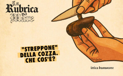 Lo “Streppone” della cozza: cos’è, perché devi assolutamente toglierlo e come fare