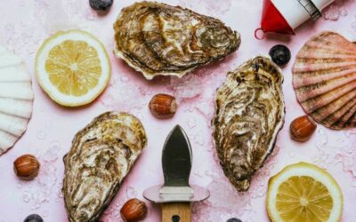 Come si formano le conchiglie di mare?