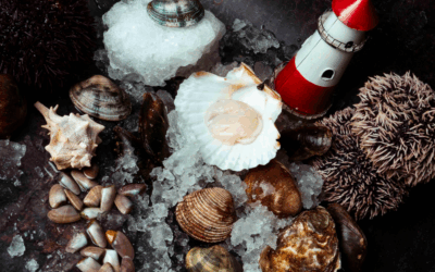 Anno nuovo, linea nuova: come dimagrire con gusto grazie ai molluschi