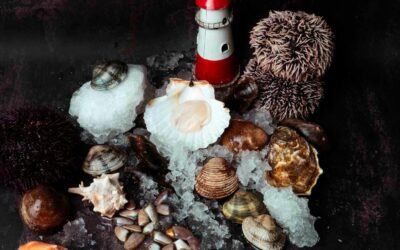 La scienza della depurazione: cosa accade biologicamente ai molluschi in 12 ore